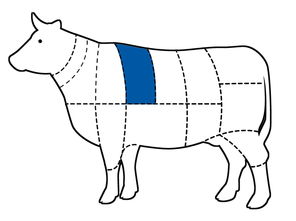 Chart of cattle with Cube Roll cut highlighted in blue