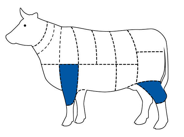Chart of cattle with Shin cut highlighted in blue