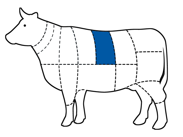 Chart of cattle with Shortloin cut highlighted in blue